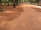 අනුරාධපුර පාරට මූනලා බිම් කොටස් විකිණීමට