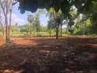 Land for Sale Anuradhapura