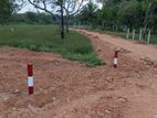 අනුරාධපුර පුජා නගරය ලගින්ම ඉඩමක් විකිනිමට