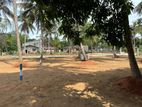 අනුරාධපුර පුජානගරයට නුදුරින් ඉඩමක් අපෙන්