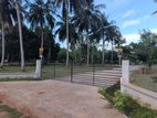 අනුරාධපුර පුජානගරයට නුදුරින් නිස්කලංක පරිසරයකින් ඉඩමක්