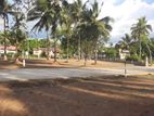 අනුරාධපුර පුජානගරයට නුදුරින් නිස්කලංක පරිසරයකින් ඉඩමක්