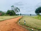අනුරාධපුර පුත්තලම් පාරට මීටර් 50 යි සින්නක්කර ඉඩමක්