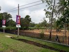 අනුරාධපුර - පුත්තලම පාරට මුහුණලා සින්නක්කර බිම්කොටස් විකිණීමට