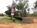 අනුරාධපුර පුත්තලම පාරට සින්නක්කර පර්චස් 11.7ක් බිම් කොටස් විකිණීමට