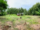 Land for Sale Mahabulankulama, Anuradhapura