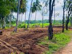 අනුරාධපුර පූජා නගරය සමීපයෙන් සින්නක්කර ඉඩමක්