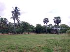 අනුරාධපුර පූජා නගරයේ නිරවුල් ඉඩම | Land for Sale close to Asapuwa