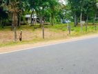 අනුරාධපුර පූජා නගරයෙන් සින්නක්කර ඉඩමක් විකිණීමට