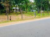 අනුරාධපුර පූජා නගරයෙන් සින්නක්කර ඉඩමක් විකිණීමට