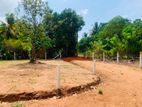 අනුරාධපුර පූජා නගරයට සමීපයෙන් සින්නක්කර බිම් කොටස්