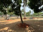 අනුරාධපුර සාලියමාවතෙන් බිම් කොටස