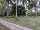 අනුරාධපුර , සාලියමාවතෙන් සින්නක්කර බිම්කොටස් විකිණීමට