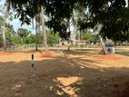 අනුරාධපුර සාලියමාවතෙන් සින්නක්කර බිම්කොටසක් වීකිණීමට.