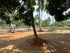 අනුරාධපුර සාලියමාවතෙන් සින්නක්කර බිම්කොටසක් විකිණීමට