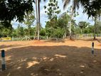 අනුරාධපුර සාලියමාවතෙන් සින්නක්කර බිම්කොටසක් විකිණීමට