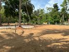අනුරාධපුර සාලියමාවතෙන් සින්නක්කර බිම්කොටසක් විකිණීමට.
