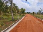 අනුරාධපුර සින්නක්කර ඉඩම