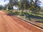 අනුරාධපුර සින්නක්කර ඉඩම