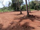 අනුරාධපුර වැවකට මායිම්ව සින්නක්කර ඉඩමක්