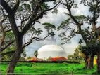 අනුරාධපුර වෙල් යායකට මුහුණලා සින්නක්කර ඉඩමක්