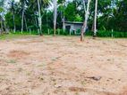 අනුරාධපුර වෙල් යායකට මුහුණලා සින්නක්කර ඉඩමක්