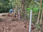 අනුරාධපුර විජයපුර ඉඩමක් විකිනීමට