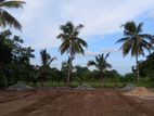 අනුරාධපුරින් සින්නක්කර ඉඩමක්