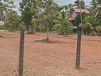 අනුරාධපුරින් සින්නක්කර ඉඩමක් විකිනිමට