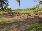 අනුරාධපුරයෙන් අඩුම අඩු මිලට සින්නක්කර බිම්කොටස් නාච්චාදූව පාරෙන්