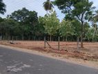අනුරාධපුරයෙන් ඉඩමක්