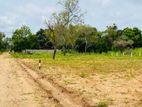 අනුරාධපුරයෙන් සින්නක්කර ඉඩමක්