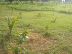 Anuradhapura Land for sale