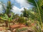 Anuradhapura land for sale
