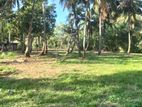 Anuradhapura Land for sale
