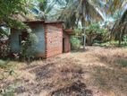 Anuradhapura Land for sale
