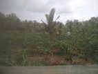 Anuradhapura Land For sale