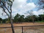 Anuradhapura Puttalam Road Facing Land for Sale