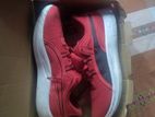 Puma Shoe