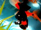 Apache Gold fish with Red Cap