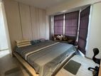 Apartment for Rent in Capitol Elite Residencies -Colombo 07