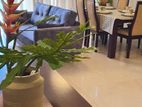 Apartment for Rent in Colombo 03 - Emperor
