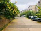 Apartment for Rent in Homagama - Mount Clifford Range