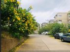 Apartment for rent in Mount Clifford Range - Homagama