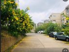Apartment for rent in Mount Clifford Range - Homagama
