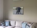 Apartment For Sale | Galle 3 BR Fully Furnished