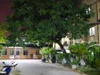 Apartment for Sale in Colombo 6 ( File Number 2253 B/2 )