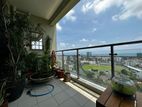 Apartment for Sale in Havelock City Davidson Tower