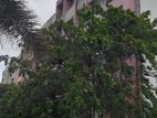 Apartment for Sale Malabe