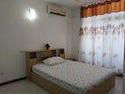 Apartment Rent in Colombo 04
